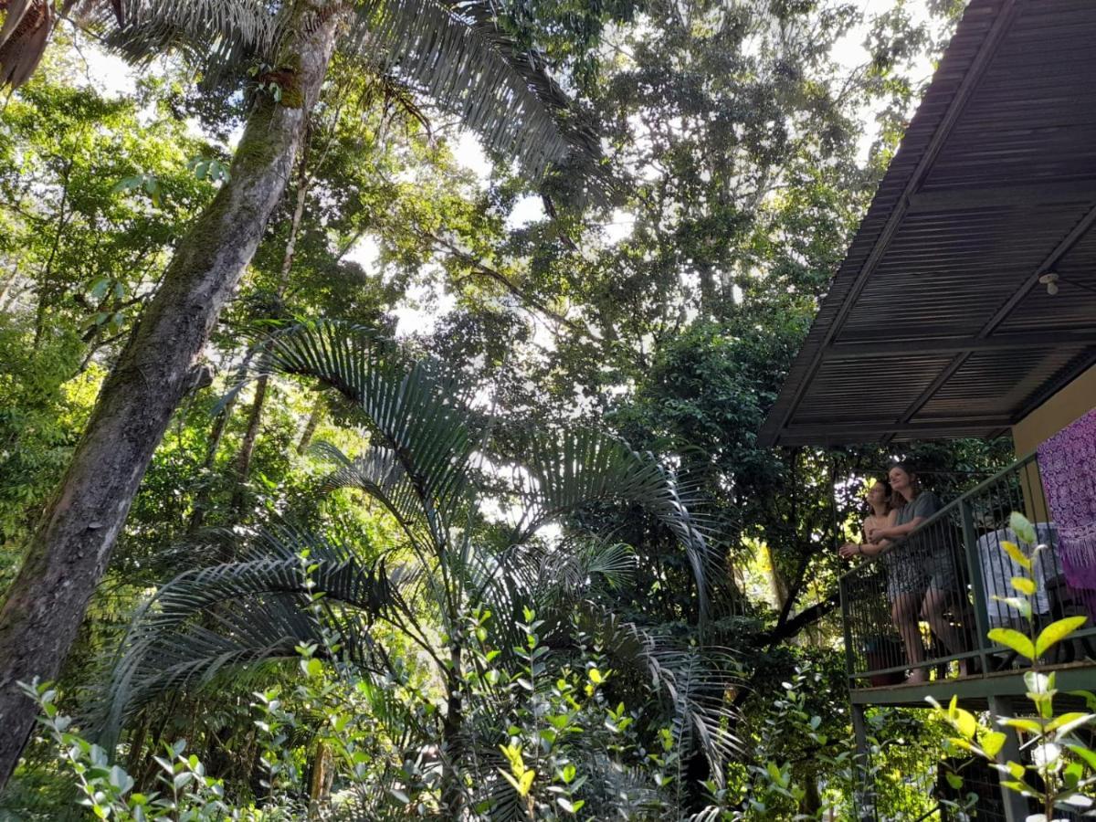 Casa Escondida Apartments Manuel Antonio Εξωτερικό φωτογραφία
