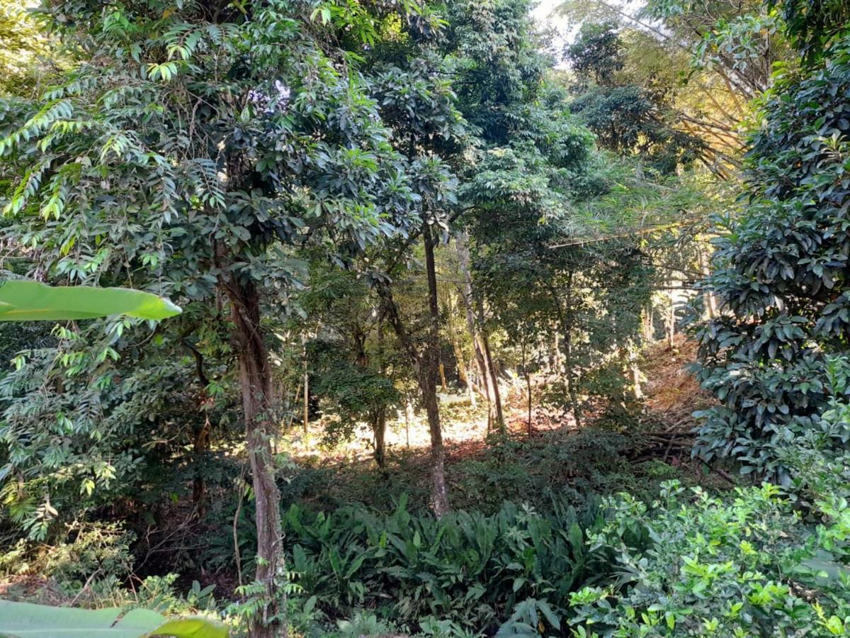 Casa Escondida Apartments Manuel Antonio Εξωτερικό φωτογραφία