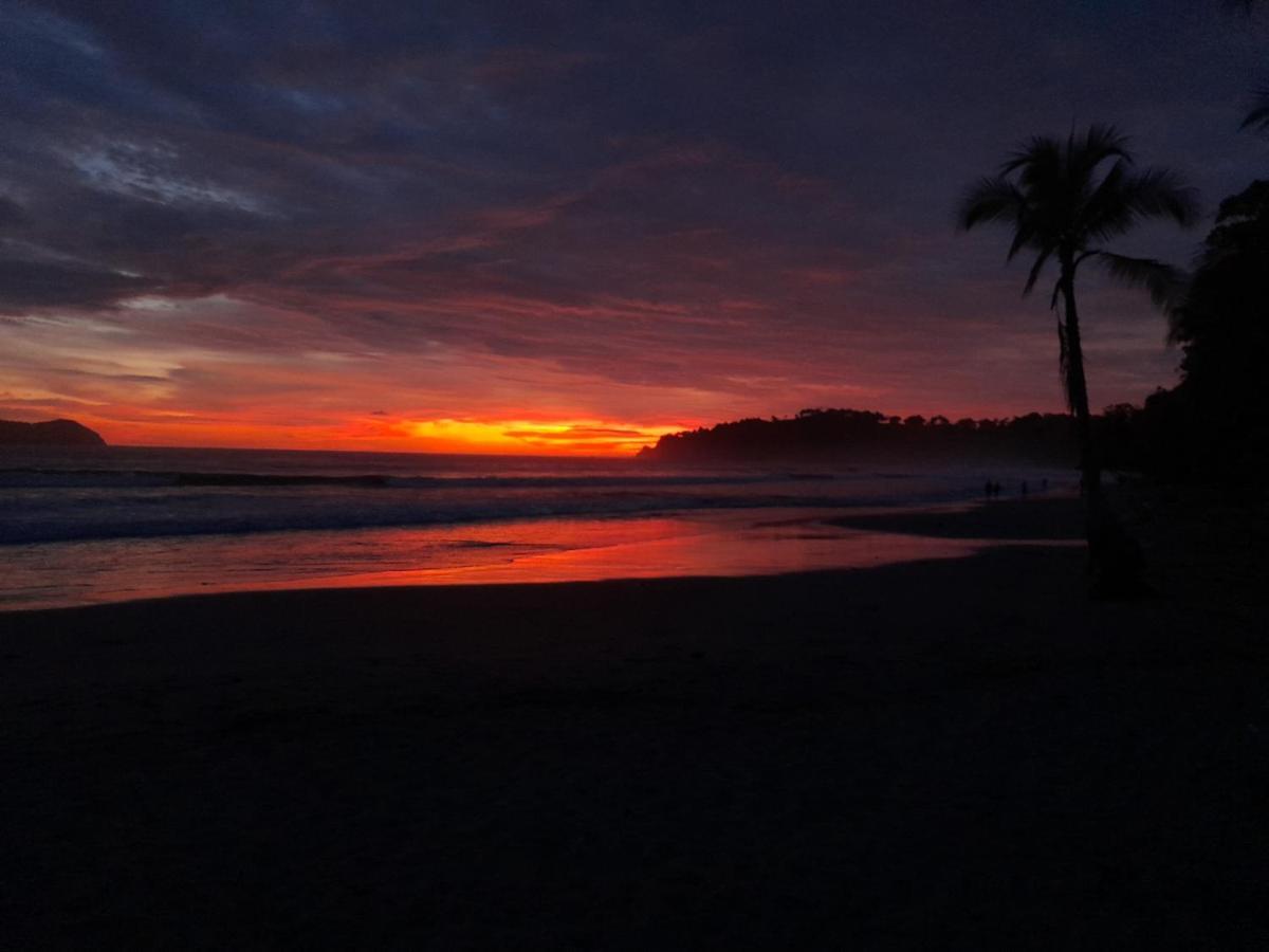 Casa Escondida Apartments Manuel Antonio Εξωτερικό φωτογραφία
