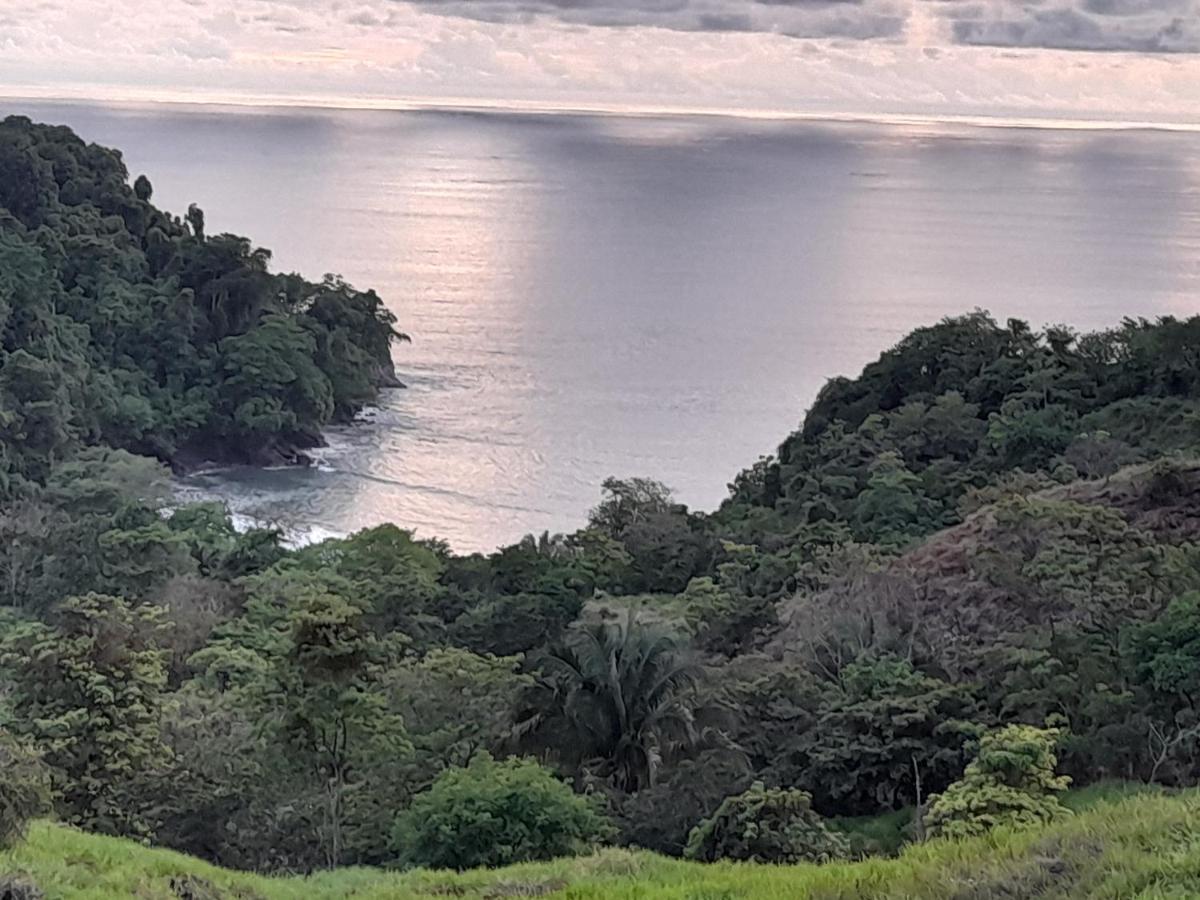 Casa Escondida Apartments Manuel Antonio Εξωτερικό φωτογραφία