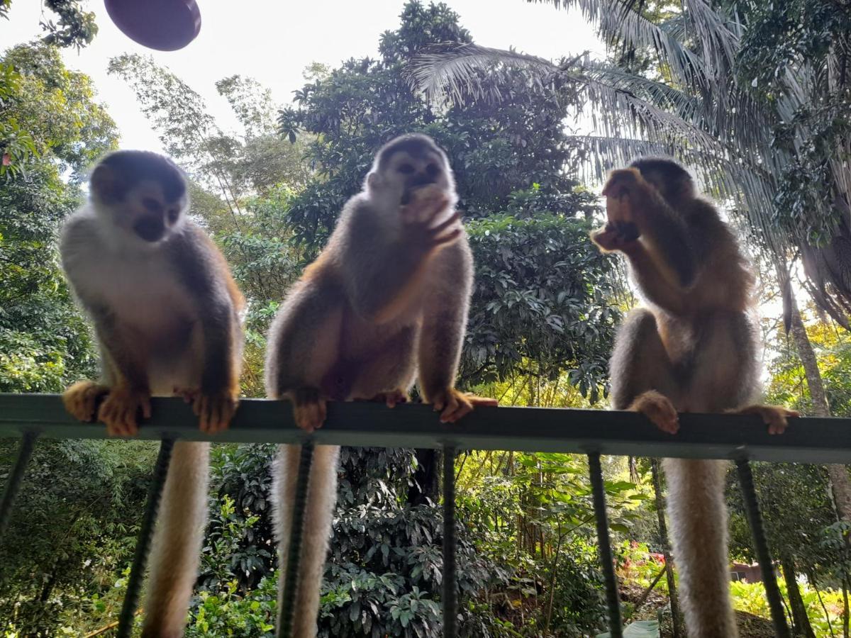 Casa Escondida Apartments Manuel Antonio Εξωτερικό φωτογραφία