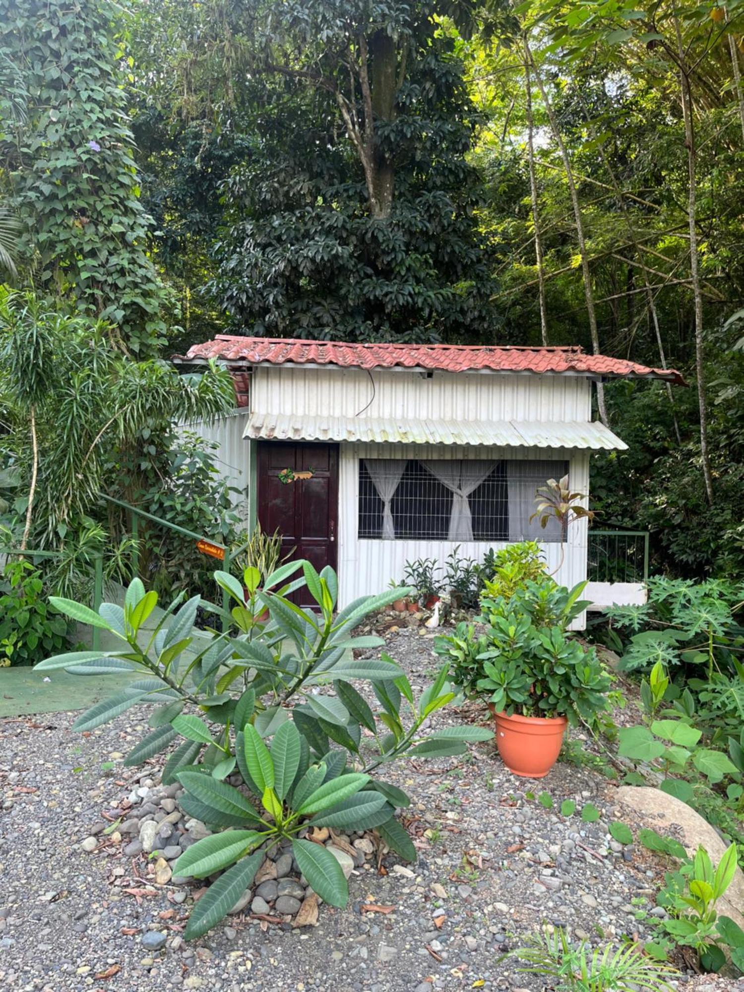 Casa Escondida Apartments Manuel Antonio Εξωτερικό φωτογραφία