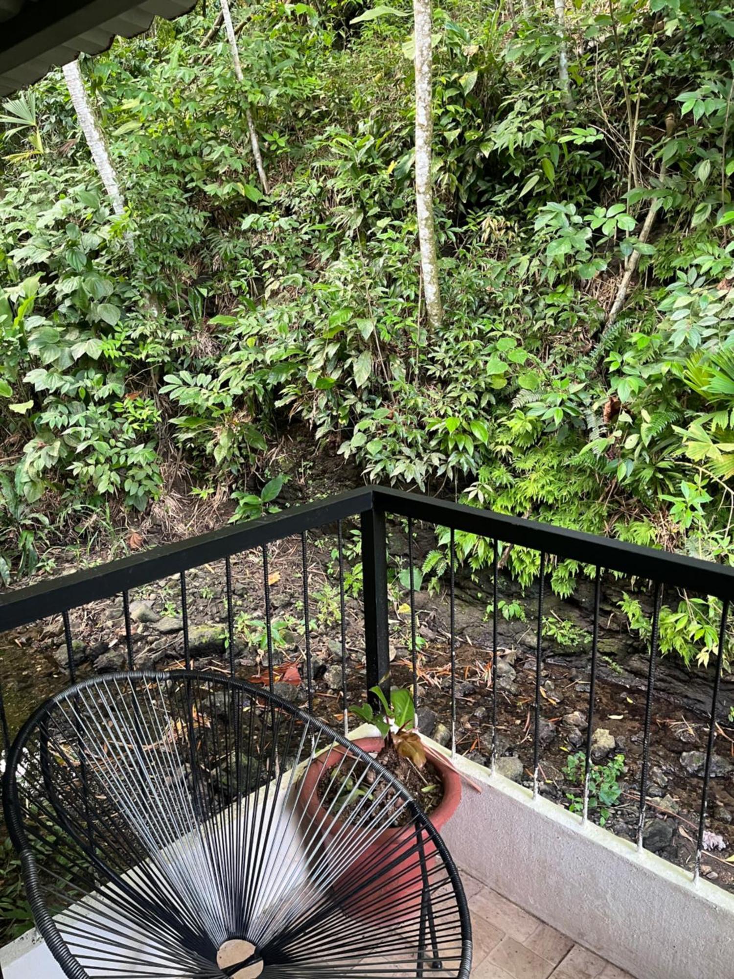 Casa Escondida Apartments Manuel Antonio Εξωτερικό φωτογραφία
